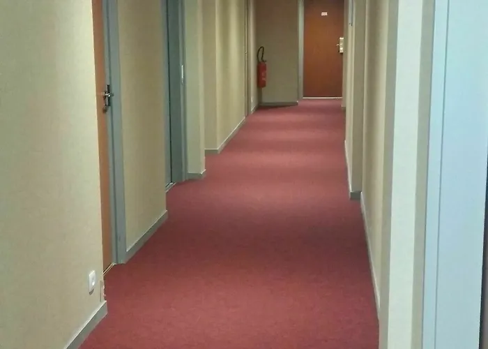 Les Jardins De 別荘 ルルド